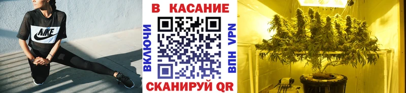 Где купить Чекалин Каннабис  СК  Кокаин  KRAKEN зеркало  Мефедрон  ГАШИШ 