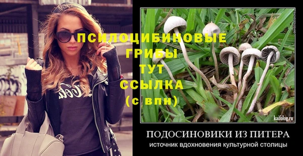 прущая мука Абаза
