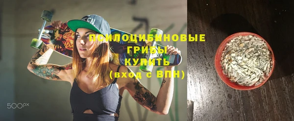 прущая мука Абаза