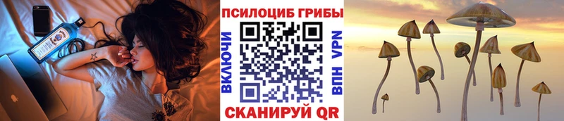 Галлюциногенные грибы мухоморы  цены   Чекалин 